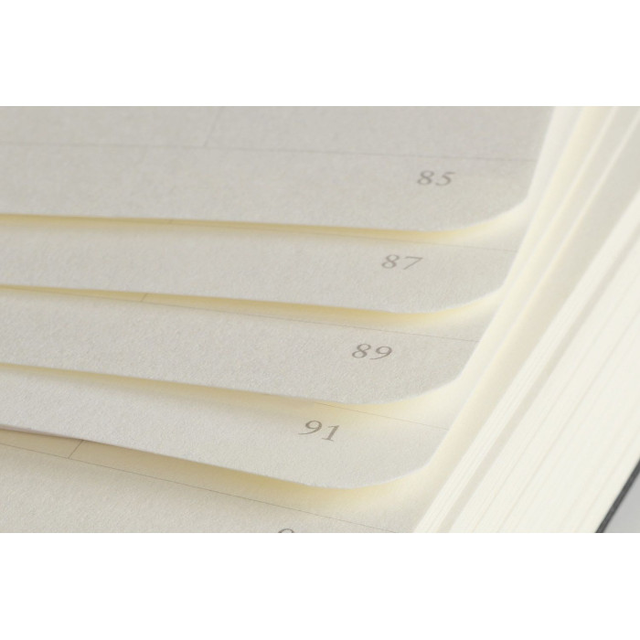 Carnet A6 rigide pocket blanc sauge