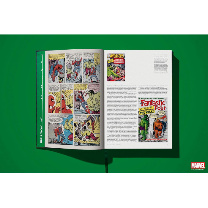 Marvel Comics Library : Hulk 1962-1966