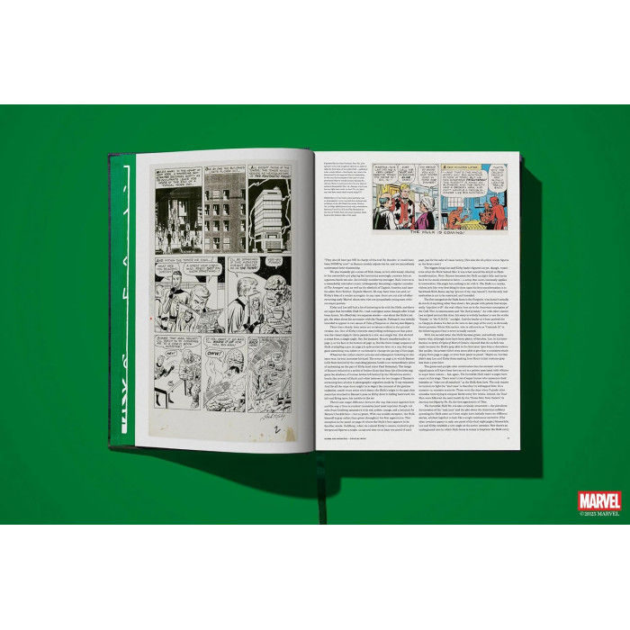 Marvel Comics Library : Hulk 1962-1966