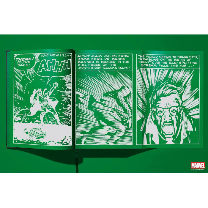Marvel Comics Library : Hulk 1962-1966
