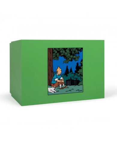 Tintin - Assis dans l'herbe