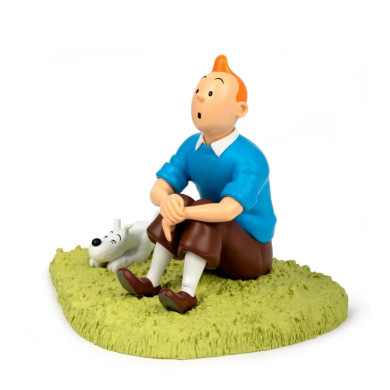 Tintin - Assis dans l'herbe