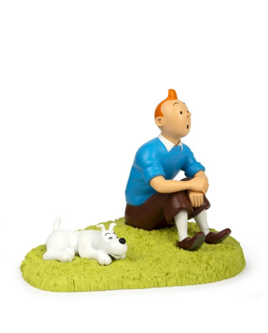 Tintin - Assis dans l'herbe