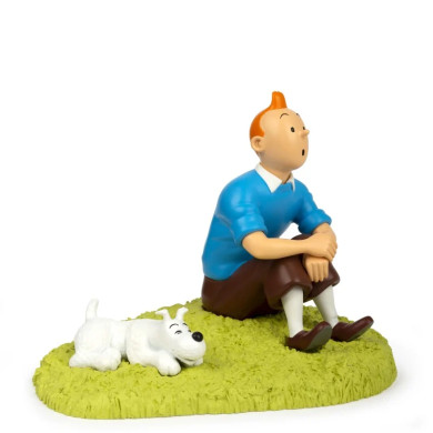 Tintin - Assis dans l'herbe