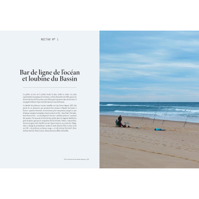 L'été gourmand au Cap Ferret : 44 nectars en 100 recettes L'été gourmand au Cap Ferret : 44 nectars en 100 recettes