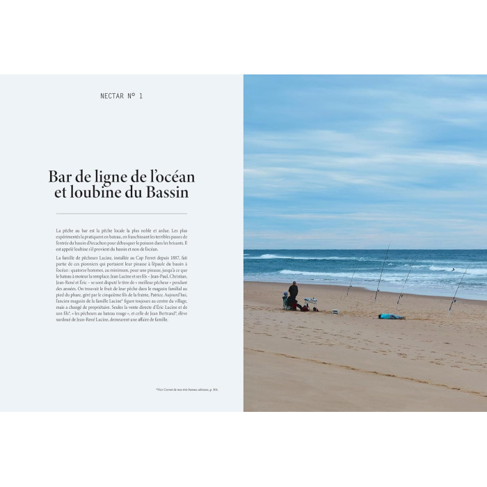 L'été gourmand au Cap Ferret : 44 nectars en 100 recettes L'été gourmand au Cap Ferret : 44 nectars en 100 recettes