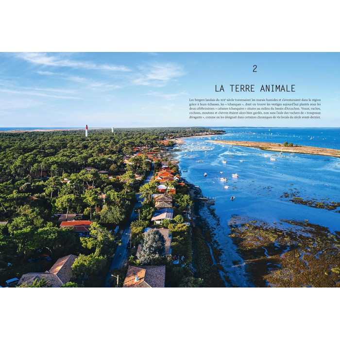 L'été gourmand au Cap Ferret : 44 nectars en 100 recettes L'été gourmand au Cap Ferret : 44 nectars en 100 recettes