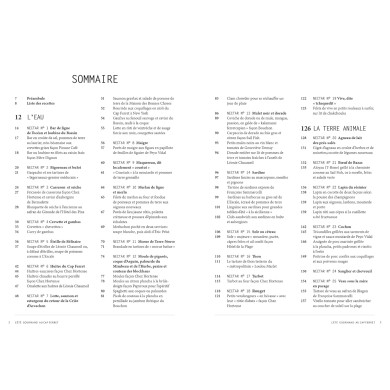 L'été gourmand au Cap Ferret : 44 nectars en 100 recettes L'été gourmand au Cap Ferret : 44 nectars en 100 recettes