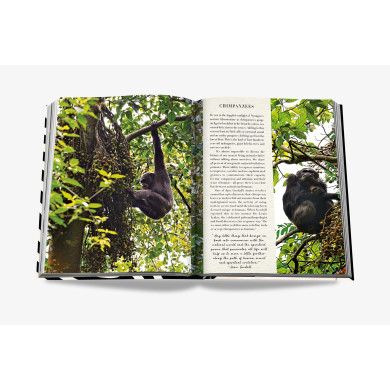 African Adventures: The Greatest Safari on Earth - Assouline African Adventures: The Greatest Safari on Earth - Assouline