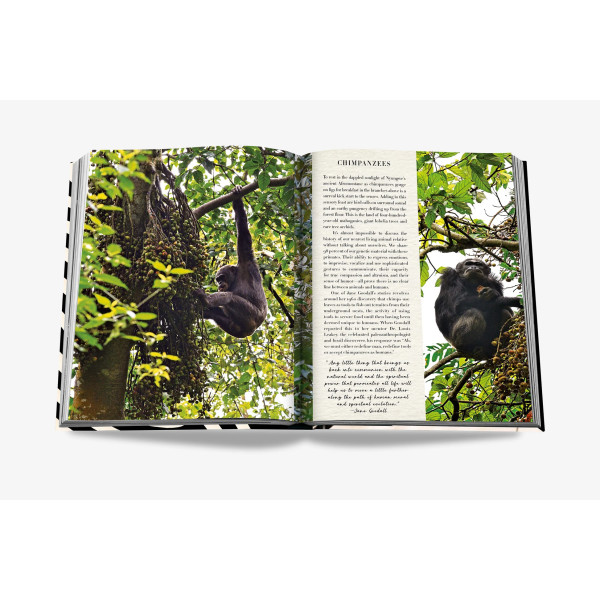 African Adventures: The Greatest Safari on Earth - Assouline African Adventures: The Greatest Safari on Earth - Assouline