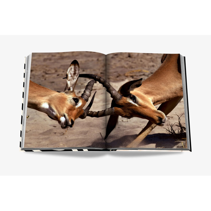 African Adventures: The Greatest Safari on Earth - Assouline