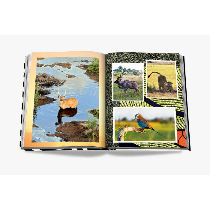 African Adventures: The Greatest Safari on Earth - Assouline