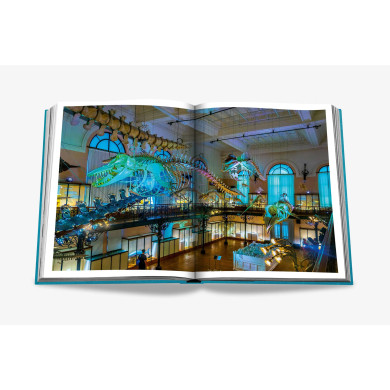 Monte Carlo - Assouline