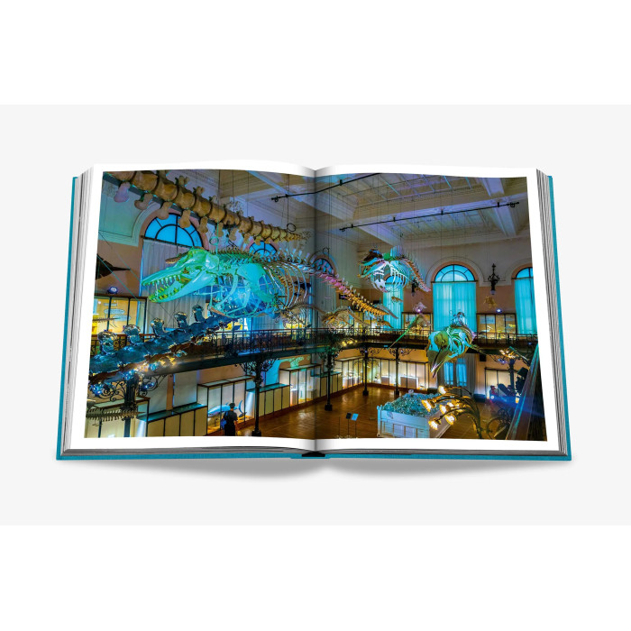 Monte Carlo - Assouline