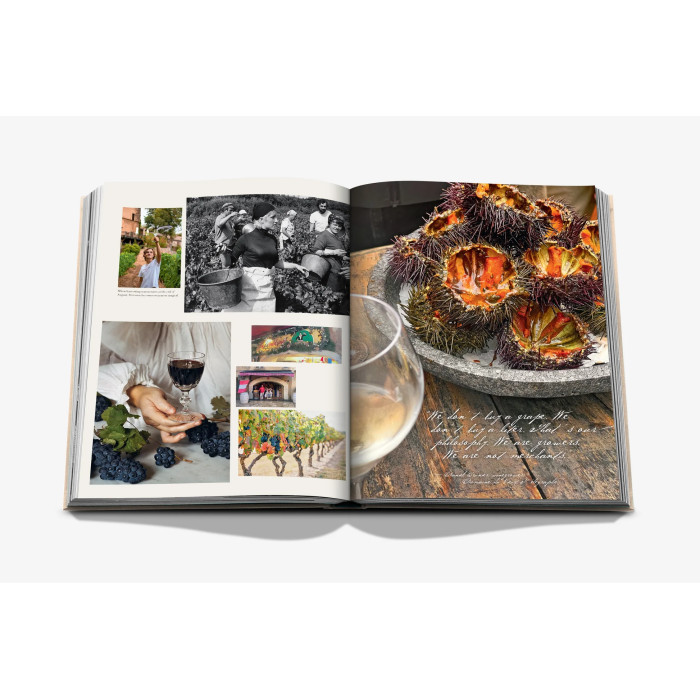 Wine & Travel France - Assouline
