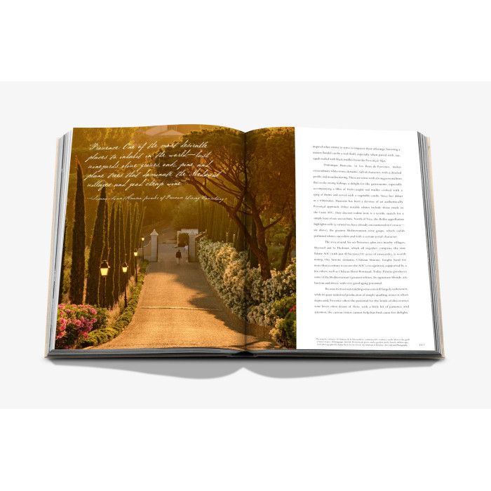 Wine & Travel France - Assouline