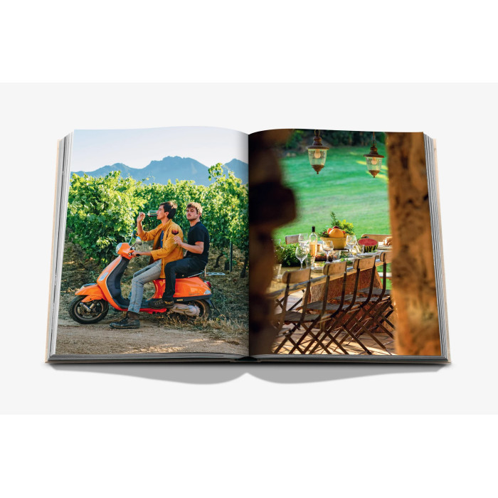 Wine & Travel France - Assouline