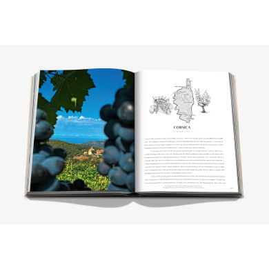 Wine & Travel France - Assouline