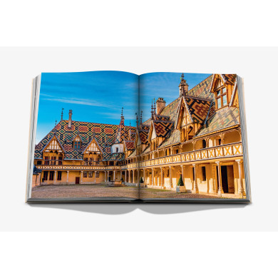 Wine & Travel France - Assouline