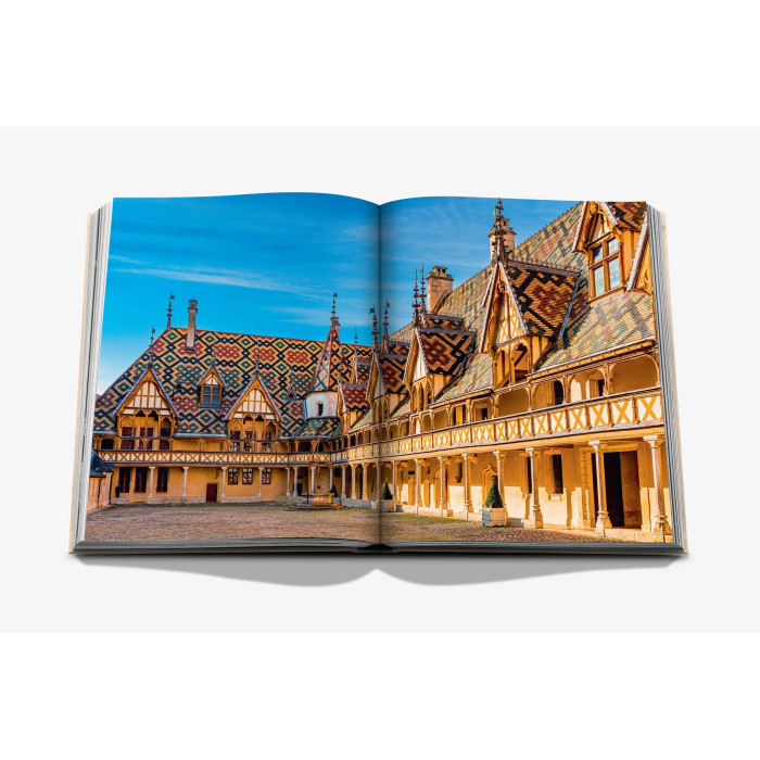 Wine & Travel France - Assouline