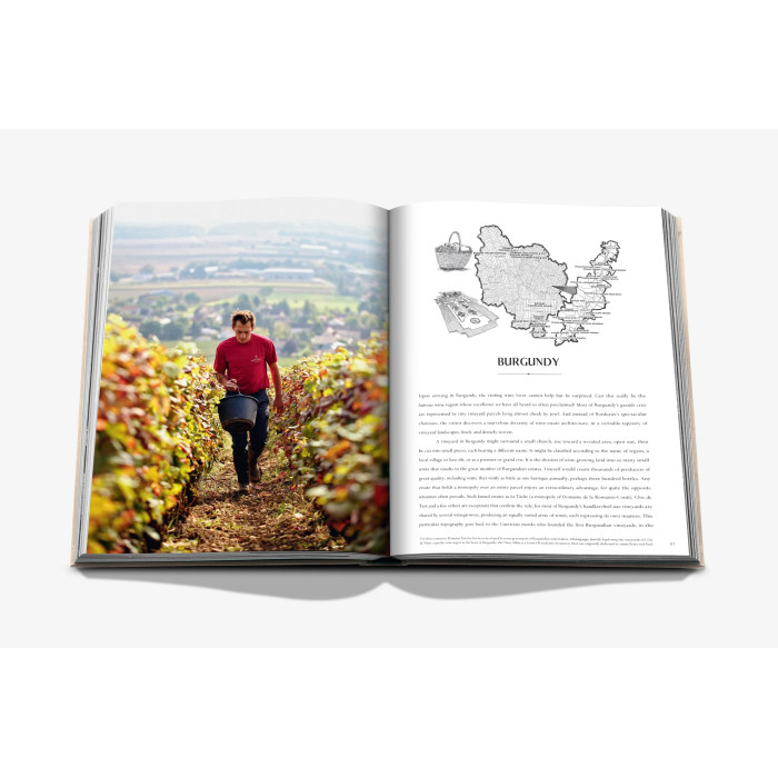 Wine & Travel France - Assouline