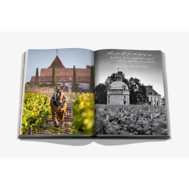 Wine & Travel France - Assouline