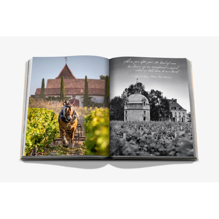 Wine & Travel France - Assouline