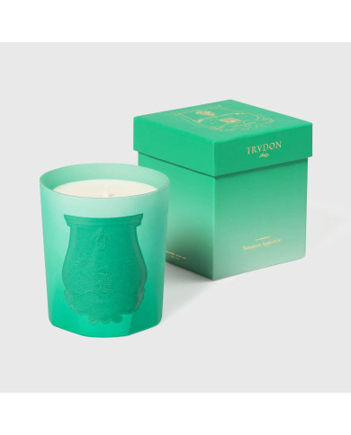 Bougie Under The Trees - 270g Bougie Under The Trees - 270g