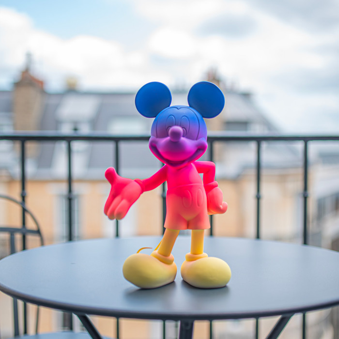 Mickey Welcome Sunset - Small