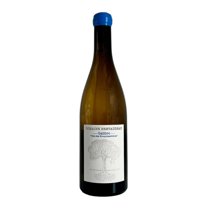 Gabbro "Clos des Bouquinardières" 2024 Blanc - Domaine Bretaudeau