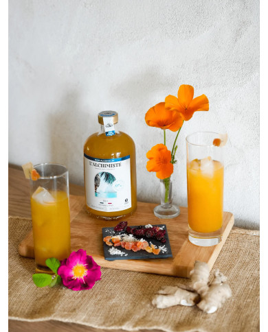 Cocktail Sans Alcool Bali - 50cl