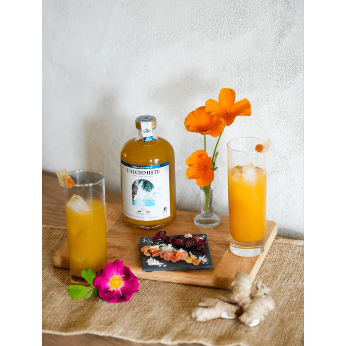 Cocktail Sans Alcool Bali - 50cl