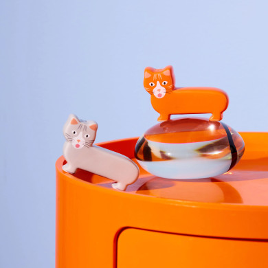 Sel et poivre Chat (Fluid Market X Thomas Gravereau)