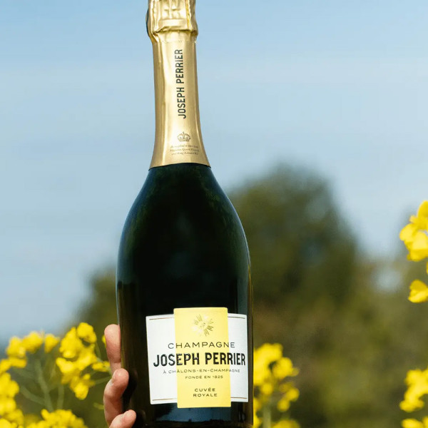 Champagne Joseph Perrier, Cuvée Royale Brut - 75cl Champagne Joseph Perrier, Cuvée Royale Brut - 75cl