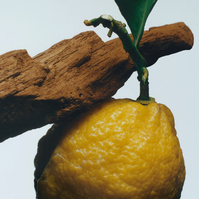 Oud & Bergamot Cologne Intense - 100ml