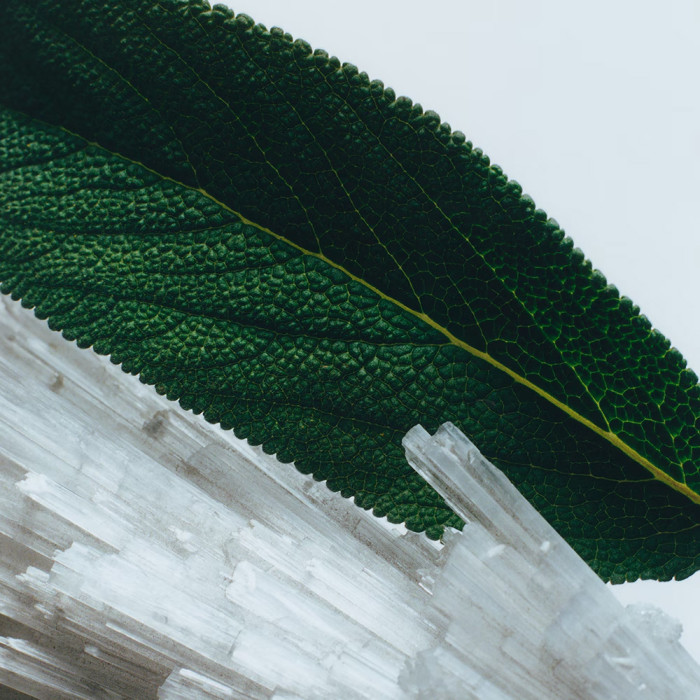 Wood Sage & Sea Salt Cologne - 100ml