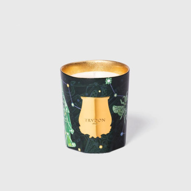 Bougie Fir Sapin de Noël 270g - Trudon