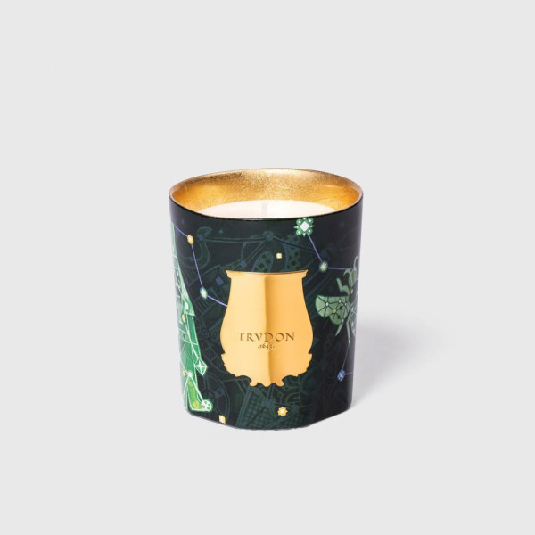 Bougie Fir Sapin de Noël 270g - Trudon