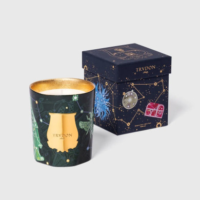 Bougie Fir Sapin de Noël 270g - Trudon