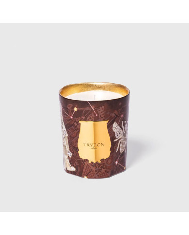 Bougie Libra Bois et Ambre 270g - Trudon