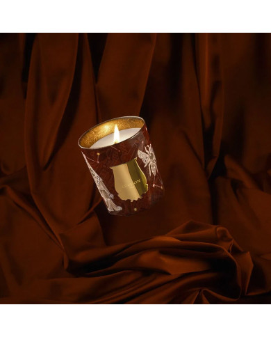 Bougie Libra Bois et Ambre 270g - Trudon