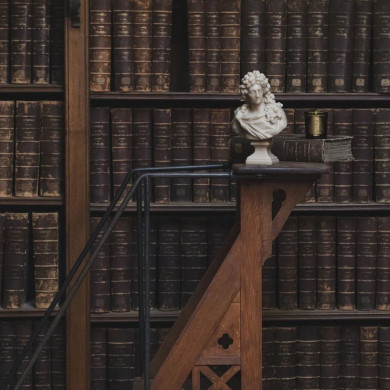 Buste Louis XIV Pierre - Trudon