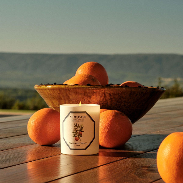 Bougie Fleur d'oranger
