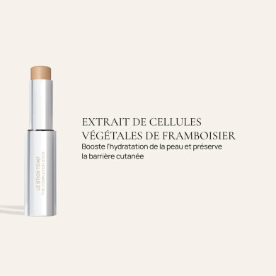 Le stick teint 5NC - Aime