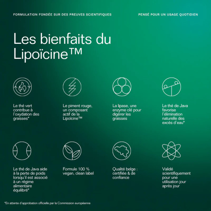 Fat Burner - recharge 30 gélules - Insentials