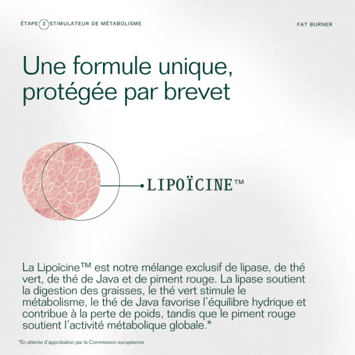 Fat Burner - recharge 30 gélules - Insentials