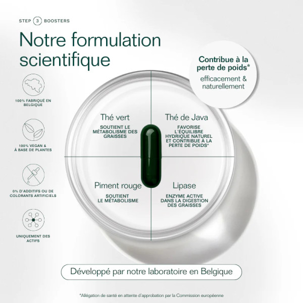 Fat Burner - recharge 30 gélules - Insentials