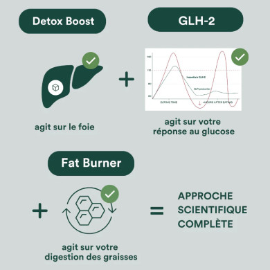 GLH-2 - recharge 30 gélules - Insentials