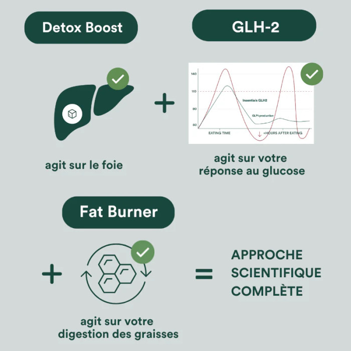 GLH-2 - recharge 30 gélules - Insentials