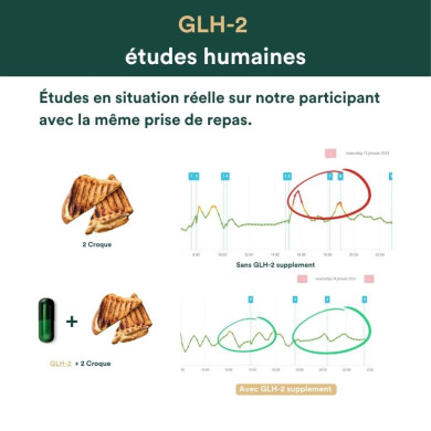 GLH-2 - recharge 30 gélules - Insentials